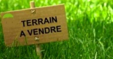 grande parcelle viabilisée