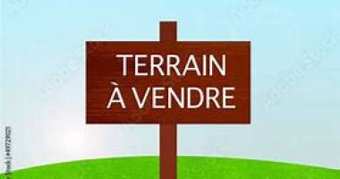 saint denis camélias--terrain zone ui