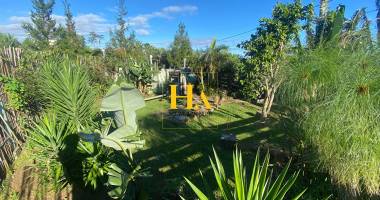 terrain les avirons 300 m2